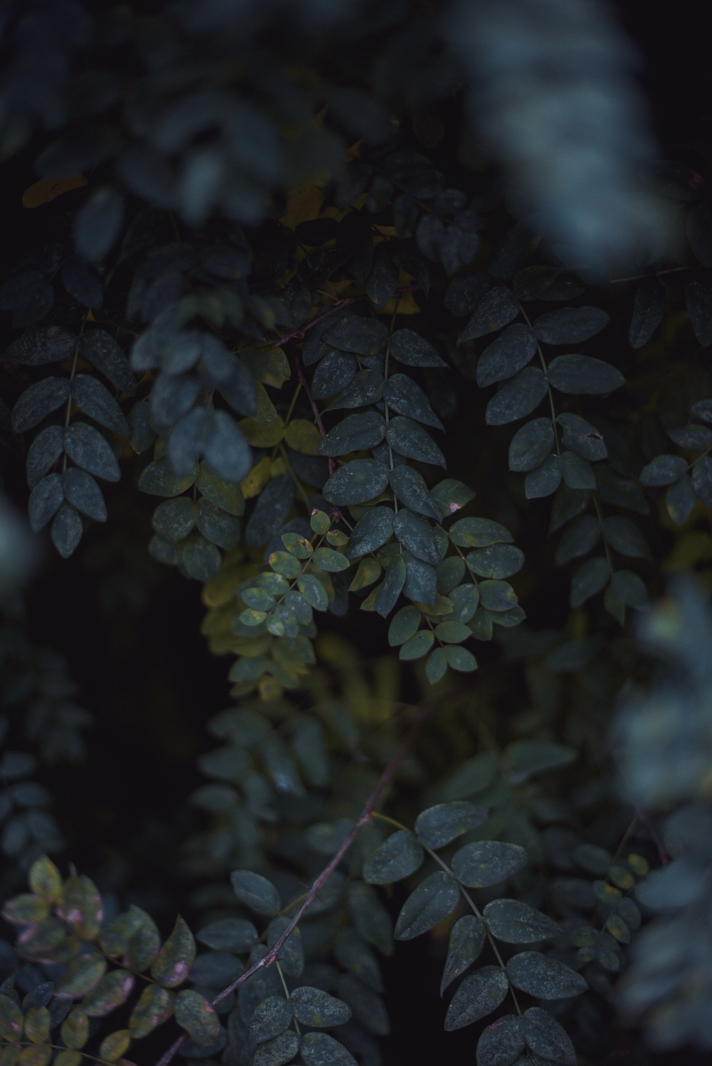 Postpartum Reset faith-rooted e-course supporting fourth trimester healing, identity, and emotional wellness.